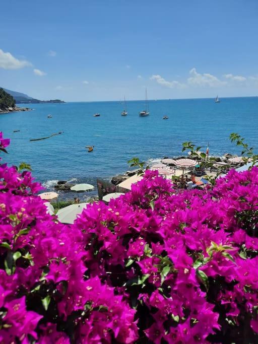 Apartamento La Terrazza Sul Golfo Dei Poeti Con Vista Mare Pitelli Exterior foto